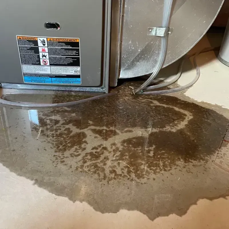 Appliance Leak Cleanup in Oakland, IA